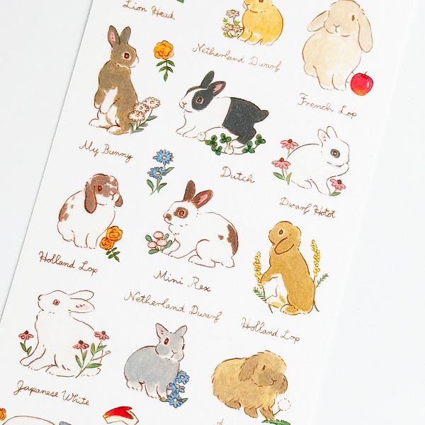 시나코 마스킹스티커 : 토끼 도감샐러드마켓